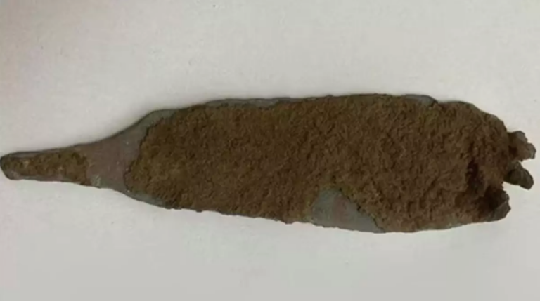 İtalya’da 4000 Yıllık Bakır Hançer Bulundu: Bakır Çağı’nın Sırlarına Işık Tutuyor