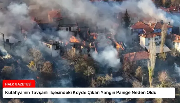 Kütahya’nın Tavşanlı İlçesindeki Köyde Çıkan Yangın Paniğe Neden Oldu