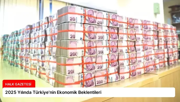 2025 Yılında Türkiye’nin Ekonomik Beklentileri