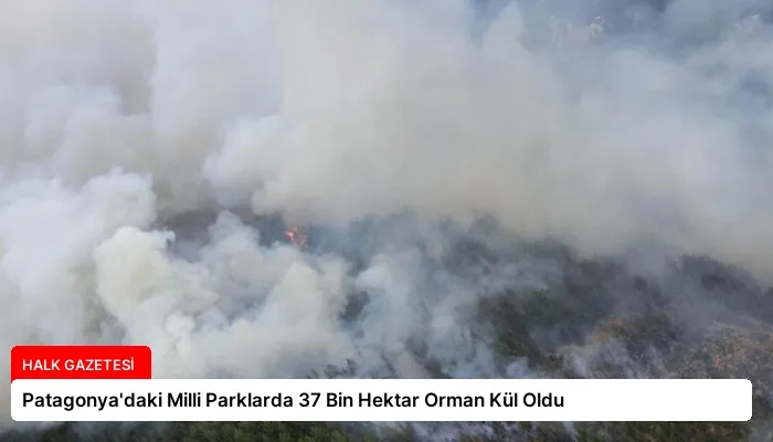 Patagonya’daki Milli Parklarda 37 Bin Hektar Orman Kül Oldu