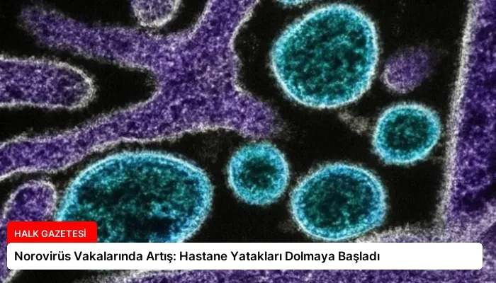 Norovirüs Vakalarında Artış: Hastane Yatakları Dolmaya Başladı