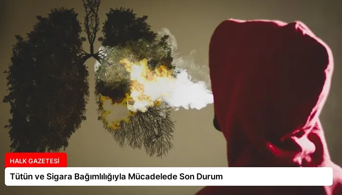 Tütün ve Sigara Bağımlılığıyla Mücadelede Son Durum
