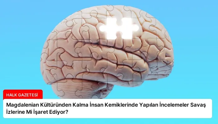Magdalenian Kültüründen Kalma İnsan Kemiklerinde Yapılan İncelemeler Savaş İzlerine Mi İşaret Ediyor?