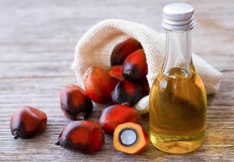 Sağlıklı ve Doğal İçerikli Bitkisel Yağlar Nerelerde Kullanılır?