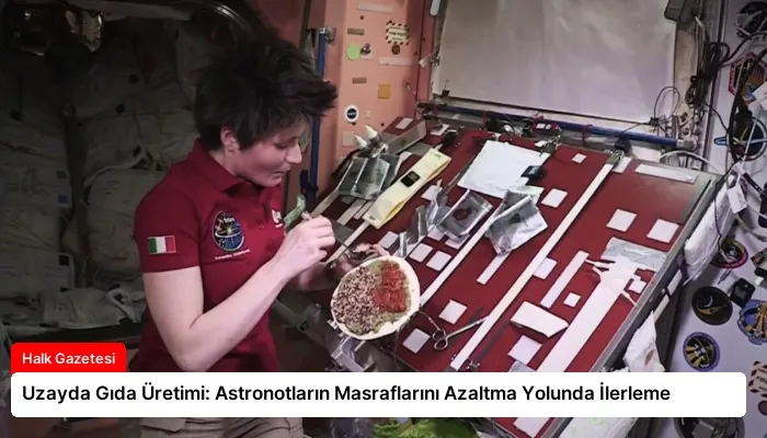 Uzayda Gıda Üretimi: Astronotların Masraflarını Azaltma Yolunda İlerleme