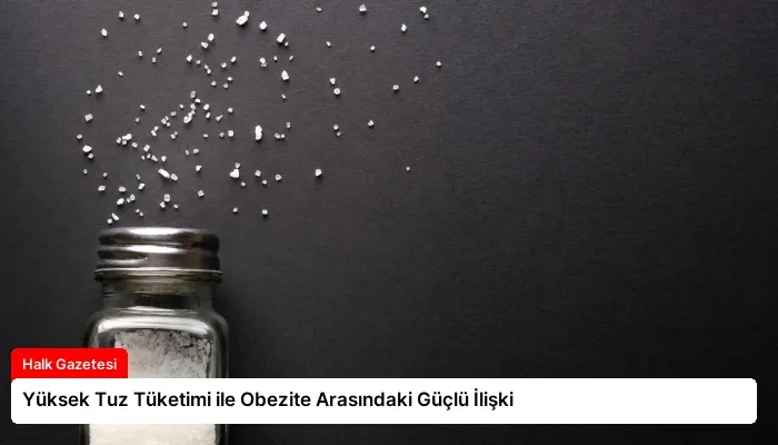 Yüksek Tuz Tüketimi ile Obezite Arasındaki Güçlü İlişki