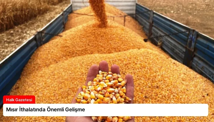 Mısır İthalatında Önemli Gelişme