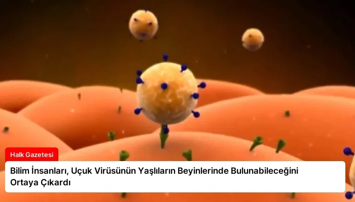 Bilim İnsanları, Uçuk Virüsünün Yaşlıların Beyinlerinde Bulunabileceğini Ortaya Çıkardı