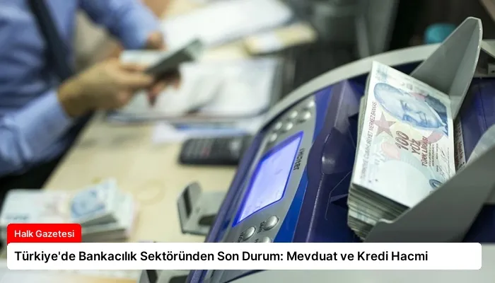 Türkiye’de Bankacılık Sektöründen Son Durum: Mevduat ve Kredi Hacmi