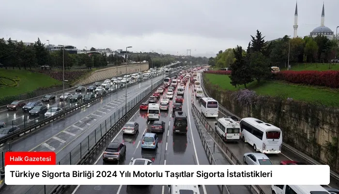 Türkiye Sigorta Birliği 2024 Yılı Motorlu Taşıtlar Sigorta İstatistikleri
