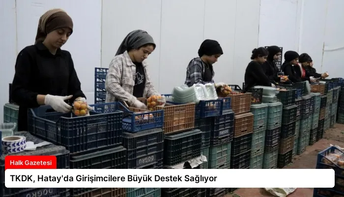 TKDK, Hatay’da Girişimcilere Büyük Destek Sağlıyor