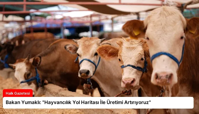 Bakan Yumaklı: “Hayvancılık Yol Haritası İle Üretimi Artırıyoruz”