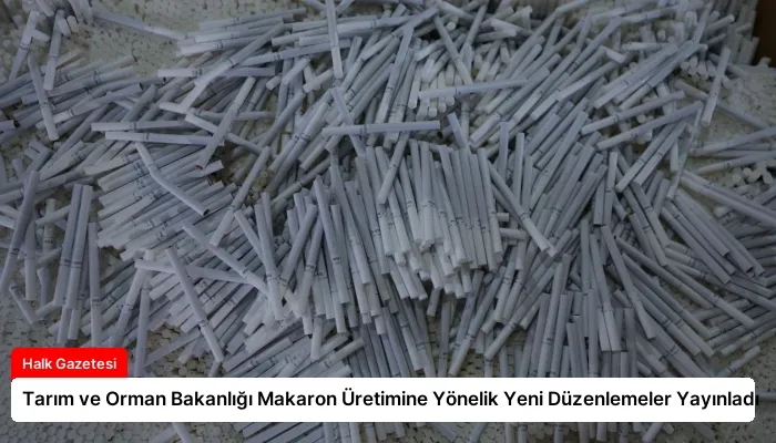Tarım ve Orman Bakanlığı Makaron Üretimine Yönelik Yeni Düzenlemeler Yayınladı