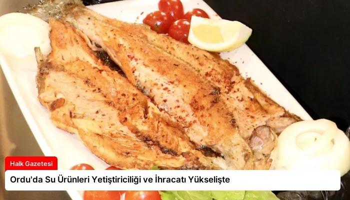 Ordu’da Su Ürünleri Yetiştiriciliği ve İhracatı Yükselişte