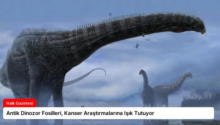 Antik Dinozor Fosilleri, Kanser Araştırmalarına Işık Tutuyor