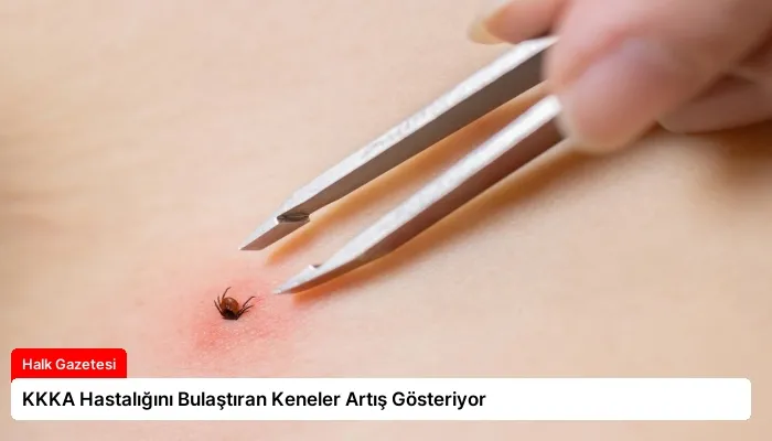 KKKA Hastalığını Bulaştıran Keneler Artış Gösteriyor