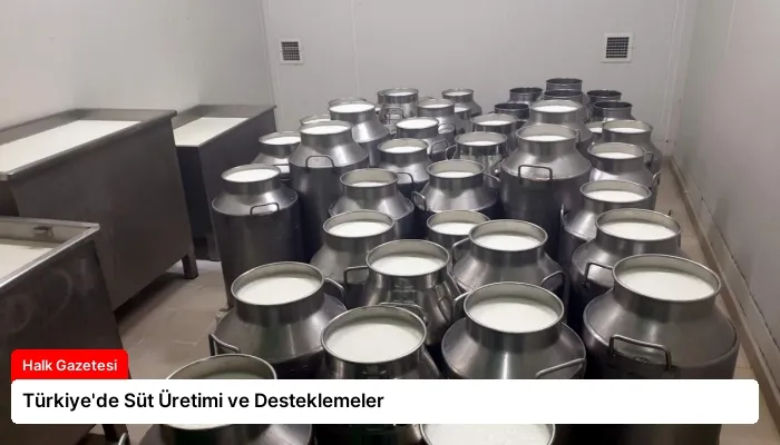 Türkiye’de Süt Üretimi ve Desteklemeler