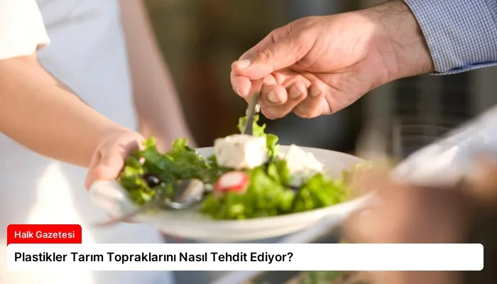 Plastikler Tarım Topraklarını Nasıl Tehdit Ediyor?