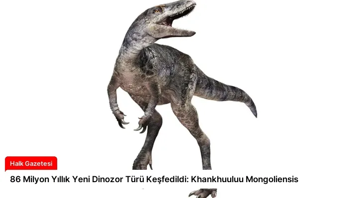 86 Milyon Yıllık Yeni Dinozor Türü Keşfedildi: Khankhuuluu Mongoliensis