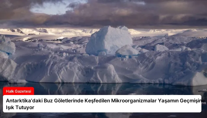 Antarktika’daki Buz Göletlerinde Keşfedilen Mikroorganizmalar Yaşamın Geçmişine Işık Tutuyor