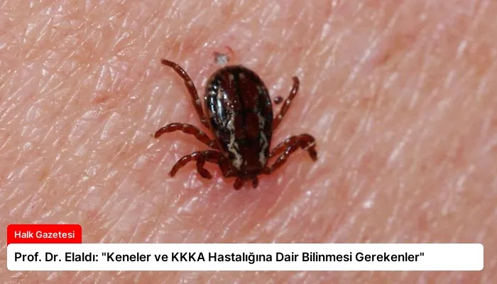 Prof. Dr. Elaldı: “Keneler ve KKKA Hastalığına Dair Bilinmesi Gerekenler”