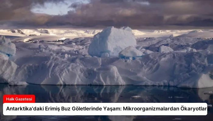Antarktika’daki Erimiş Buz Göletlerinde Yaşam: Mikroorganizmalardan Ökaryotlara