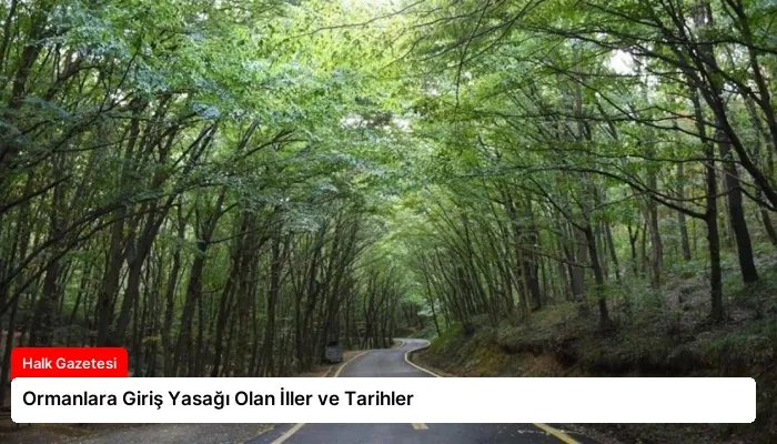 Ormanlara Giriş Yasağı Olan İller ve Tarihler