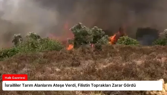 İsrailliler Tarım Alanlarını Ateşe Verdi, Filistin Toprakları Zarar Gördü