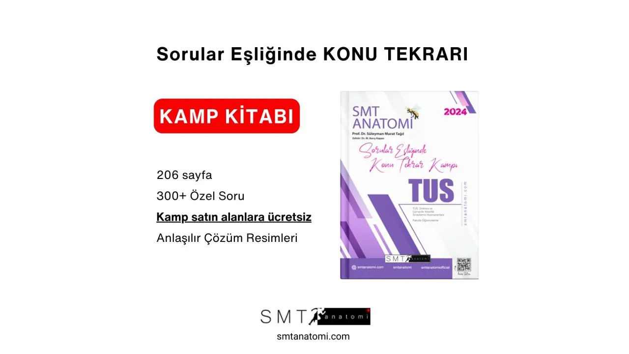 Smt Anatomi Soru Bankası Satın Almanın Avantajları
