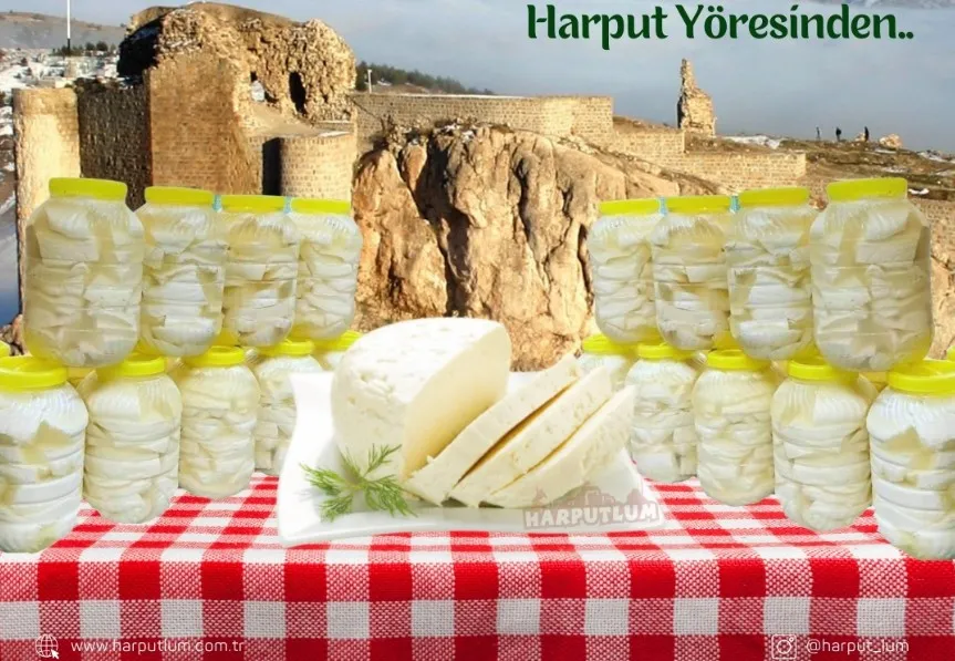 Gerçek Lezzet Nerede Gizli? Harputlum’un Elazığ’a Özgü Peynirleriyle Tanış