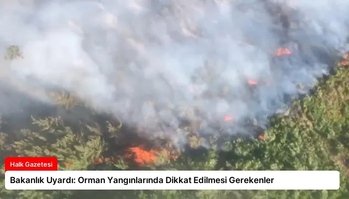 Bakanlık Uyardı: Orman Yangınlarında Dikkat Edilmesi Gerekenler