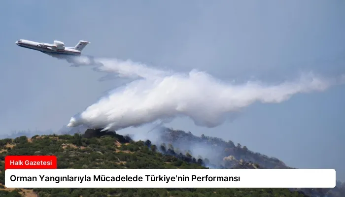 Orman Yangınlarıyla Mücadelede Türkiye’nin Performansı