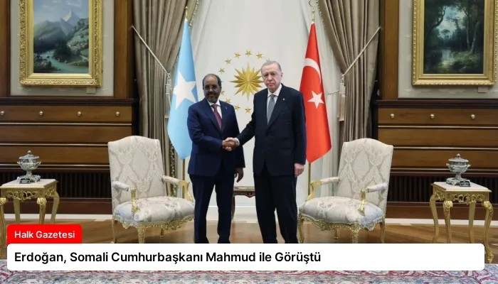 Erdoğan, Somali Cumhurbaşkanı Mahmud ile Görüştü