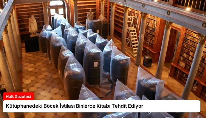 Kütüphanedeki Böcek İstilası Binlerce Kitabı Tehdit Ediyor