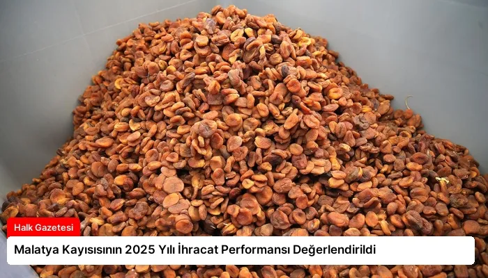 Malatya Kayısısının 2025 Yılı İhracat Performansı Değerlendirildi