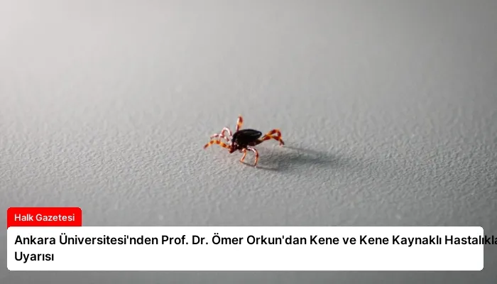 Ankara Üniversitesi’nden Prof. Dr. Ömer Orkun’dan Kene ve Kene Kaynaklı Hastalıklar Uyarısı