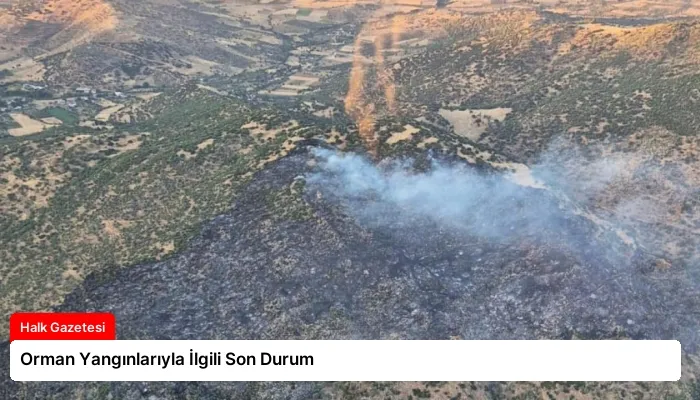 Orman Yangınlarıyla İlgili Son Durum