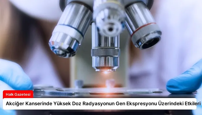 Akciğer Kanserinde Yüksek Doz Radyasyonun Gen Ekspresyonu Üzerindeki Etkileri