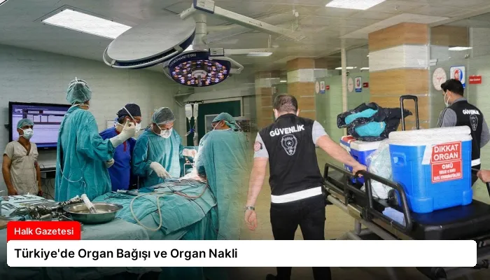 Türkiye’de Organ Bağışı ve Organ Nakli