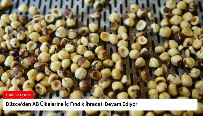 Düzce’den AB Ülkelerine İç Fındık İhracatı Devam Ediyor
