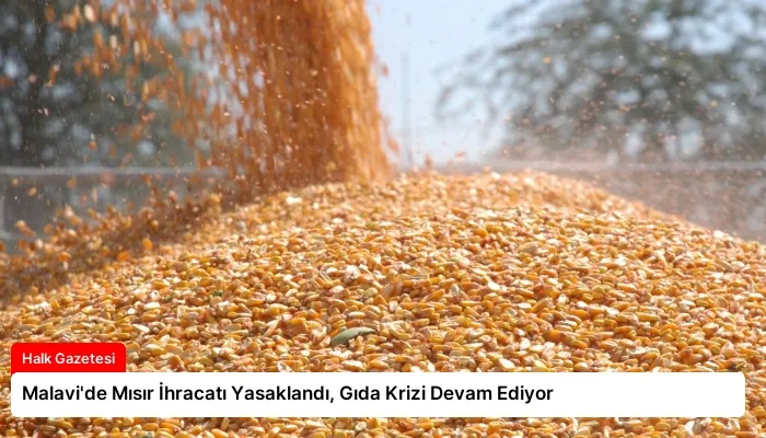 Malavi’de Mısır İhracatı Yasaklandı, Gıda Krizi Devam Ediyor