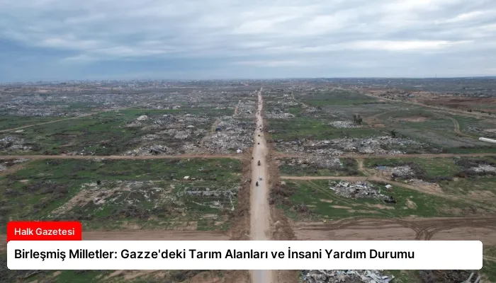 Birleşmiş Milletler: Gazze’deki Tarım Alanları ve İnsani Yardım Durumu
