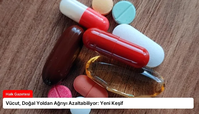 Vücut, Doğal Yoldan Ağrıyı Azaltabiliyor: Yeni Keşif