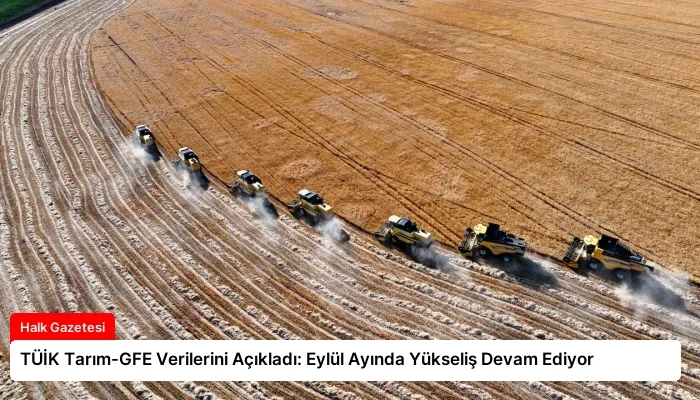 TÜİK Tarım-GFE Verilerini Açıkladı: Eylül Ayında Yükseliş Devam Ediyor