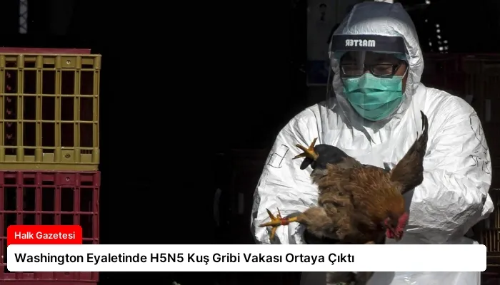 Washington Eyaletinde H5N5 Kuş Gribi Vakası Ortaya Çıktı