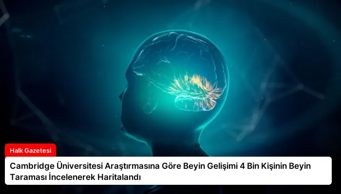 Cambridge Üniversitesi Araştırmasına Göre Beyin Gelişimi 4 Bin Kişinin Beyin Taraması İncelenerek Haritalandı