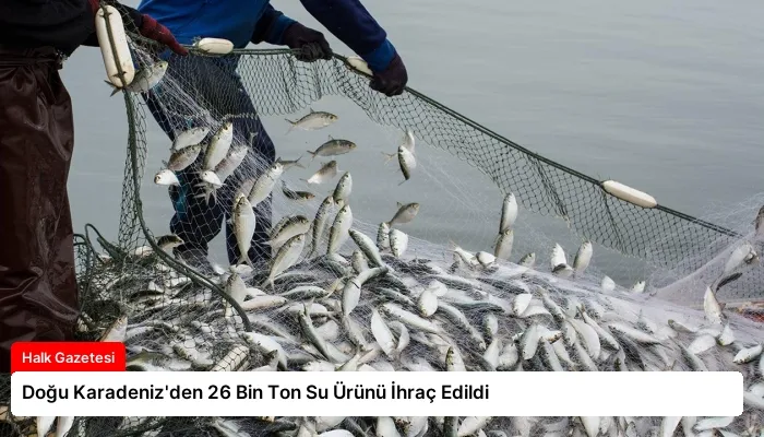 Doğu Karadeniz’den 26 Bin Ton Su Ürünü İhraç Edildi