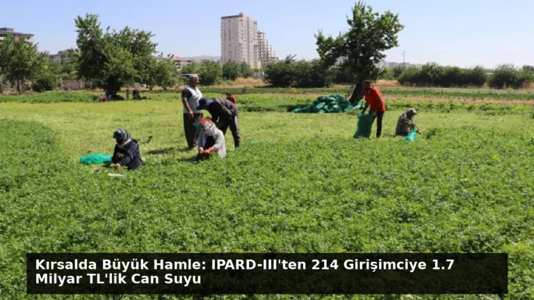 Kırsalda Büyük Hamle: IPARD-III’ten 214 Girişimciye 1.7 Milyar TL’lik Can Suyu