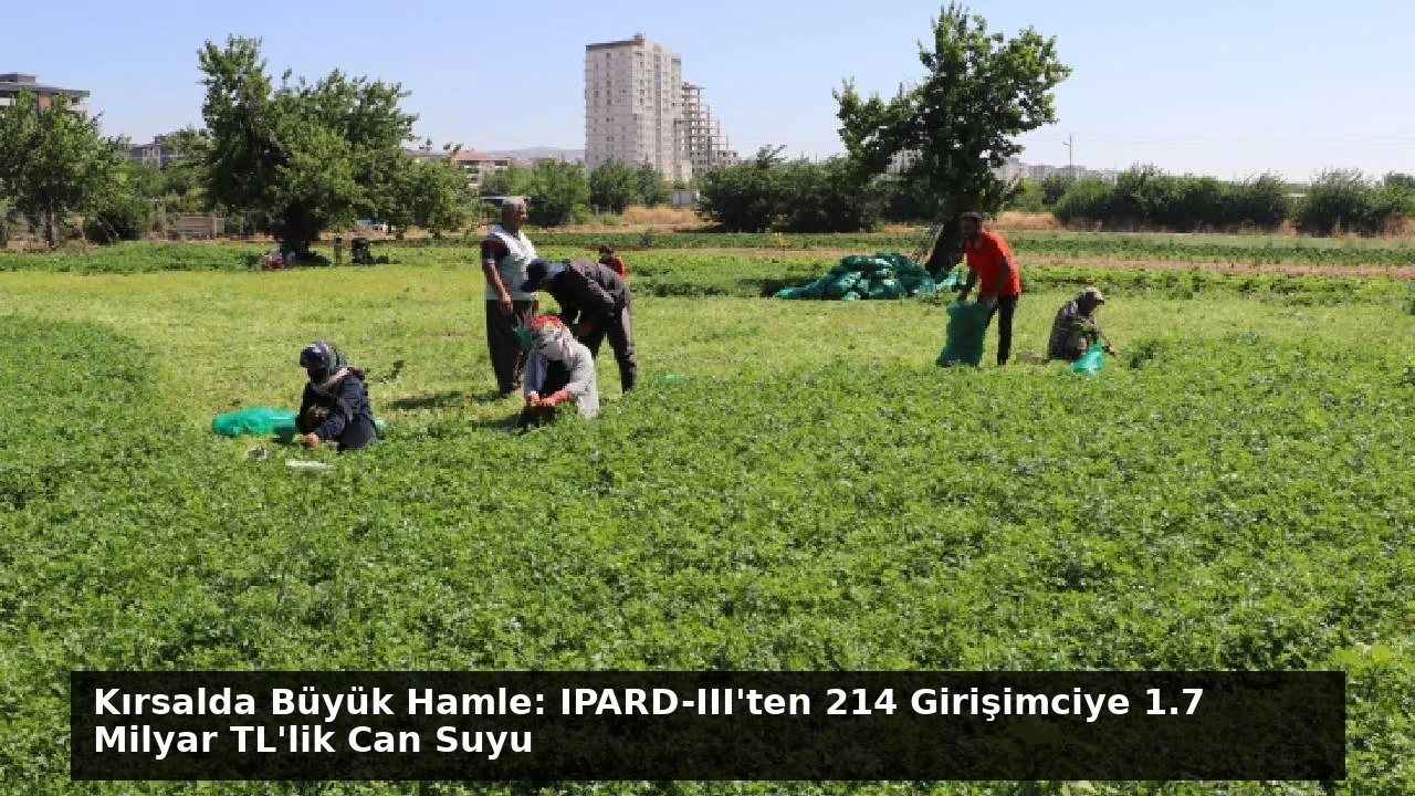 Kırsalda Büyük Hamle: IPARD-III’ten 214 Girişimciye 1.7 Milyar TL’lik Can Suyu