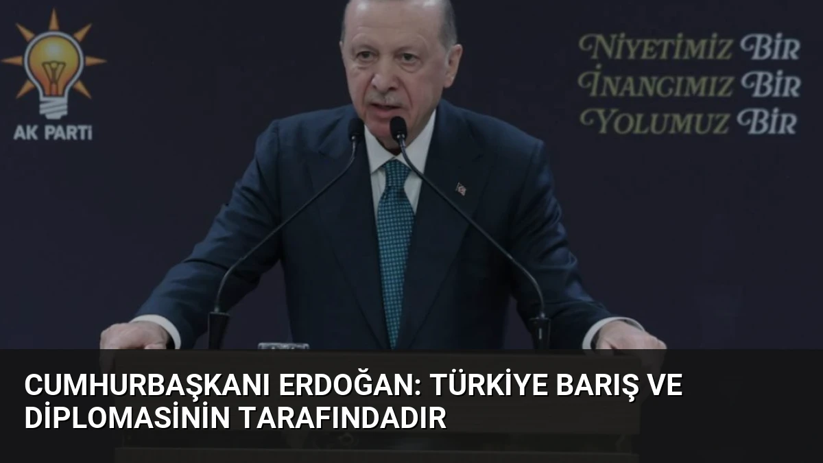 Cumhurbaşkanı Erdoğan: Türkiye barış ve diplomasinin tarafındadır